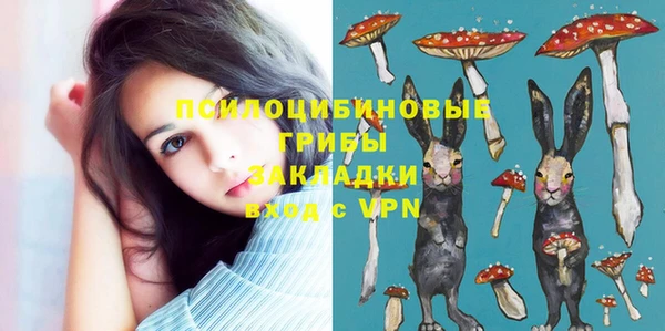 хмурый Переславль-Залесский