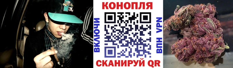 Шишки марихуана планчик  Любань 